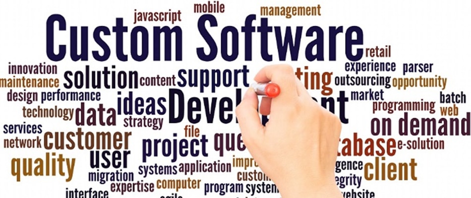 Custom Software Development Process